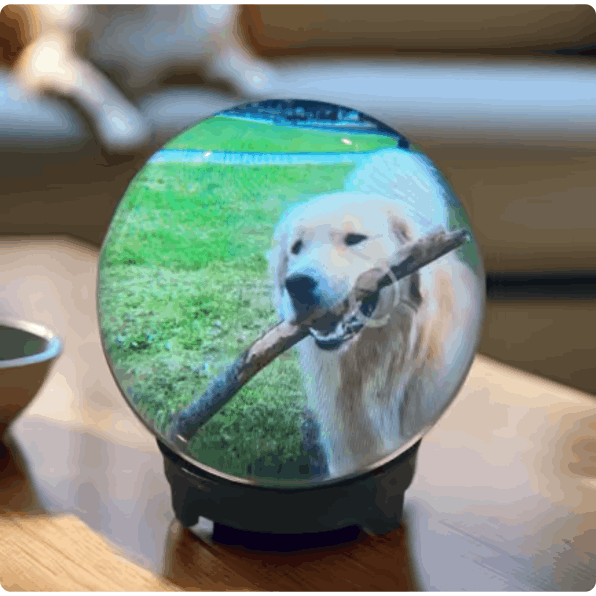 Memory Pearl Customer Reviews